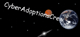 CyberAdoptions Crew